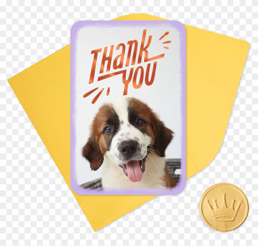 25" Mini Cute Puppy Thank You - Moscow Watchdog Clipart #2530127