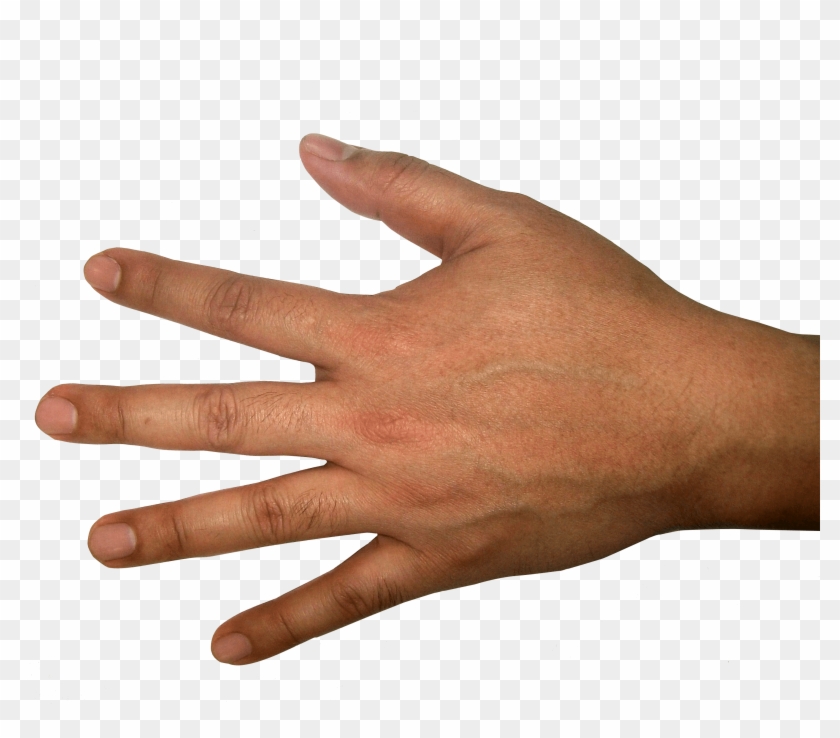 Download Raised Of Iphone - Back Of Hand Png Clipart