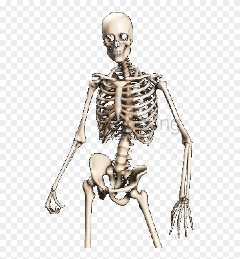 Free Png Free Icons - Skeleton Body Png Transparent Clipart #2533197