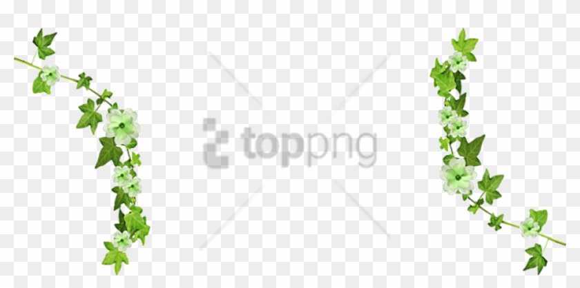 Free Png Vines Tumblr Png Images Transparent - Transparent Tumblr Banners Png Clipart