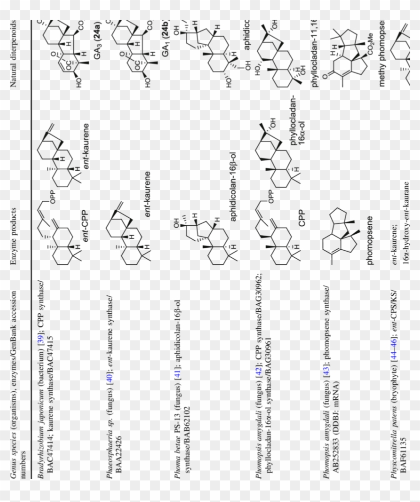 Enzymes For Tetracyclic Hydrocarbon Skeletons - Art Clipart