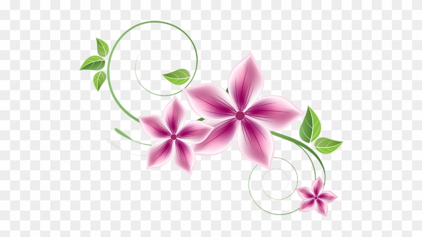 Florals Png Clipart