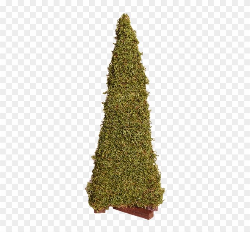 Christmas Tree Clipart #2534258