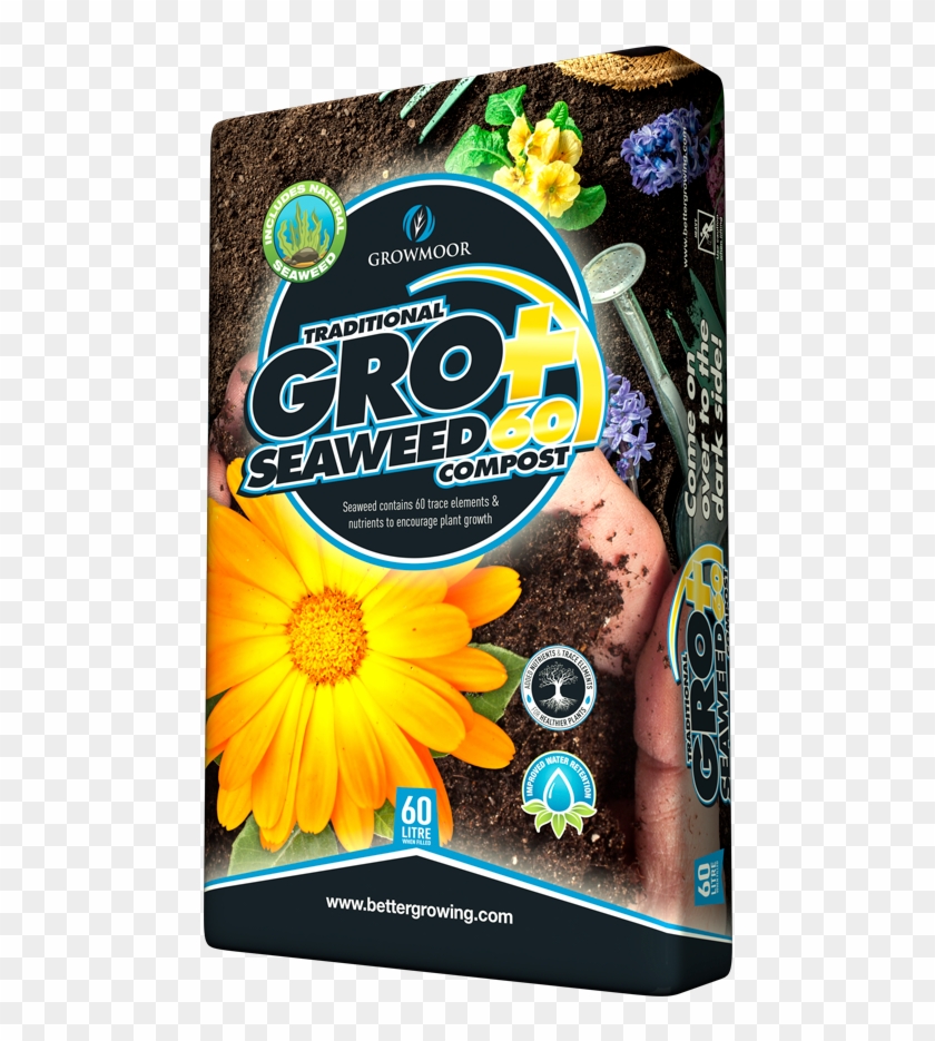 Groplus Seaweed60 - Sunflower Clipart #2534384