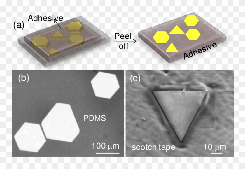 Transferability Of Au Microplates To Other Substrates - Floor Clipart
