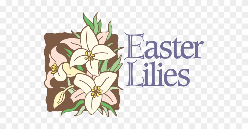 News And Events - African Daisy Clipart #2536723