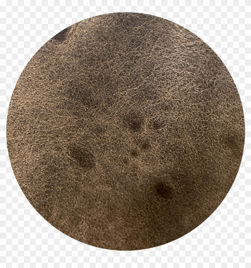 Tick Bite On Leather Clipart #2536841