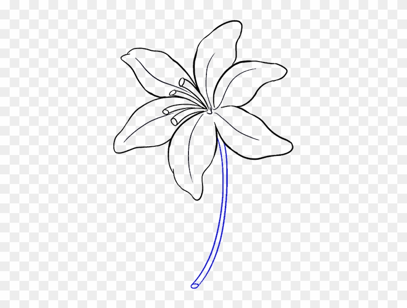 Drawing The Flower - Lily Flower Drawing Easy Clipart #2537948