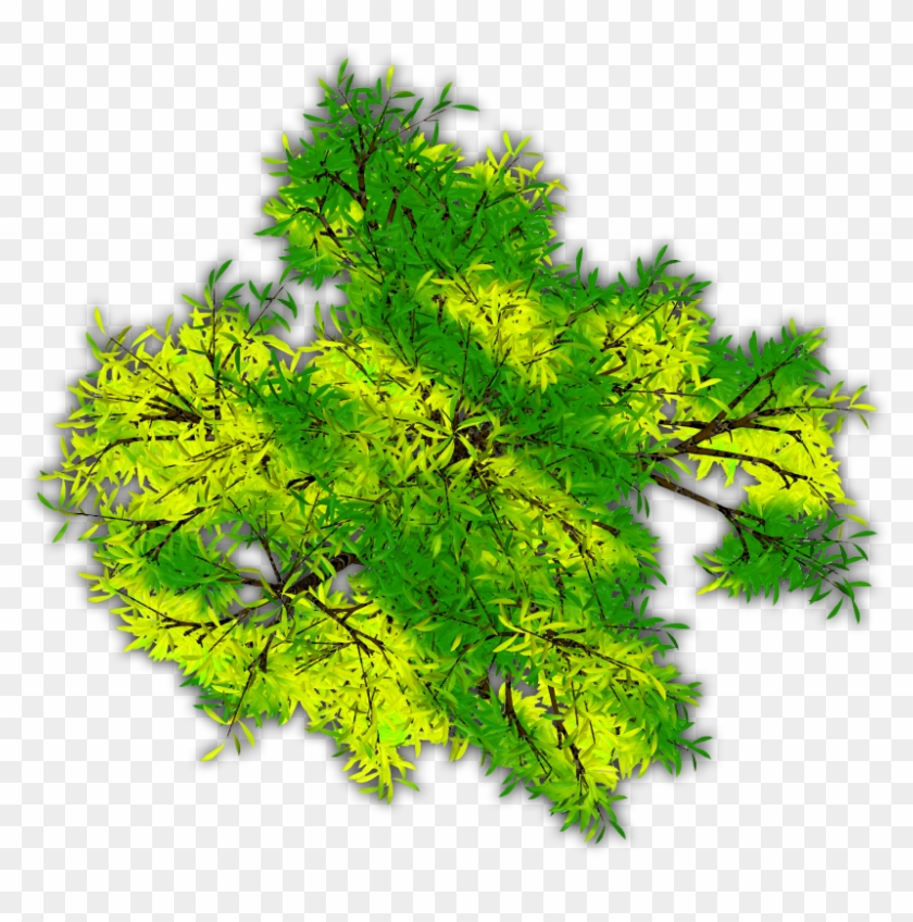 24 Mar 2009 - Tree Clipart