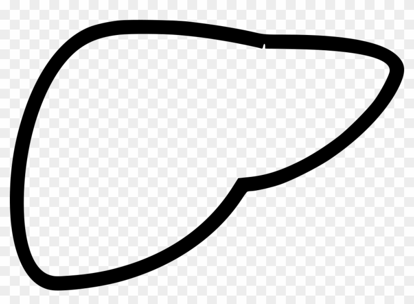Liver Svg Png Icon Free Download Clipart