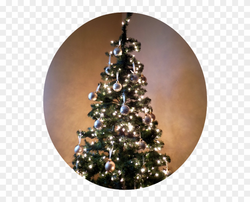 Here Are A Few Photos From Our Christmas<3 I Kept It - Christmas Tree Clipart #2539512