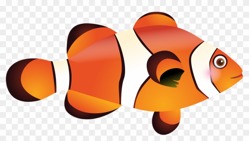 Fish Tropical Fish Sea Nemo Png Image - Best Drawings Of Fish Clipart