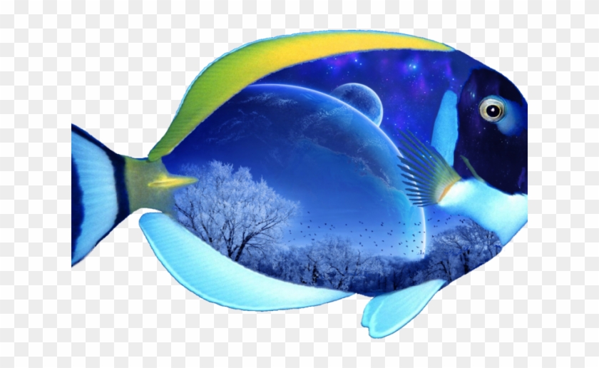 Tropical Fish Clipart Vector Transparent - Mixarcane Music For You - Png Download #2542413