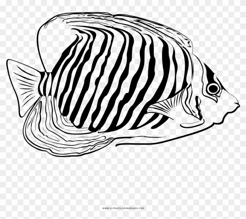 Tropical Fish Coloring Page - Coral Reef Fish Clipart #2542463