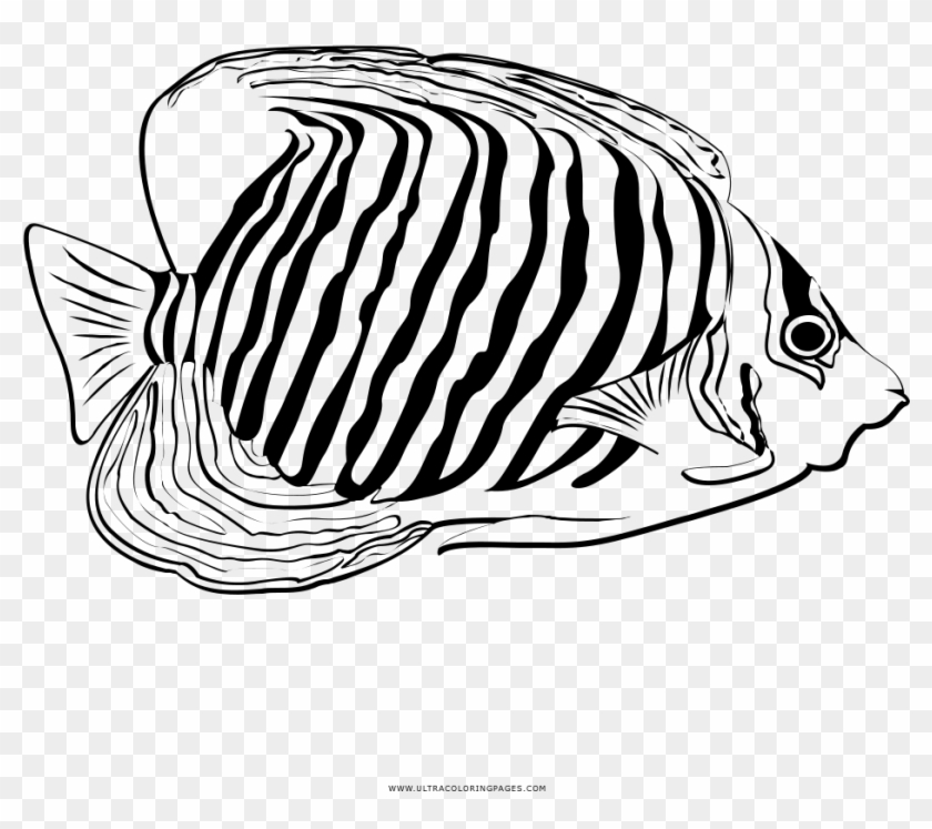 tropical fish coloring page  coral reef fish clipart