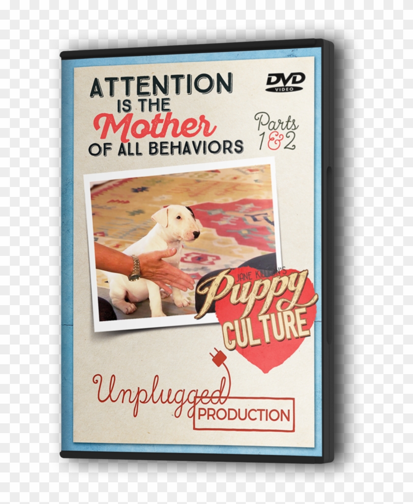 Demand To Win Puppies - Flyer Clipart