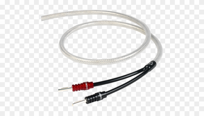 Sign Up Now - Chord Shawline Speaker Cable Png Clipart