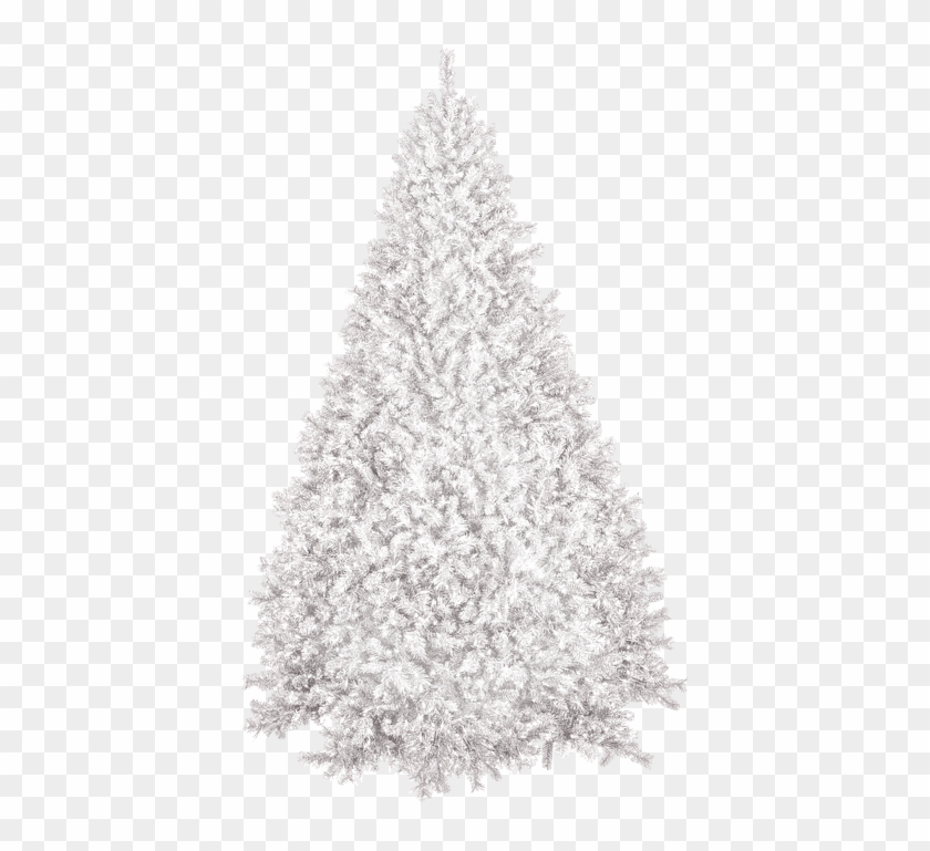 Christmas Tree, Winter, New Year's Eve, Christmas, - Artificial Christmas Tree Samples Clipart #2543356