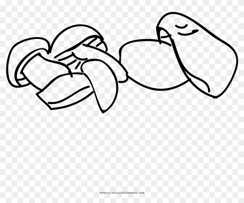 Hand Drawn Mushrooms Coloring Page - Line Art Clipart