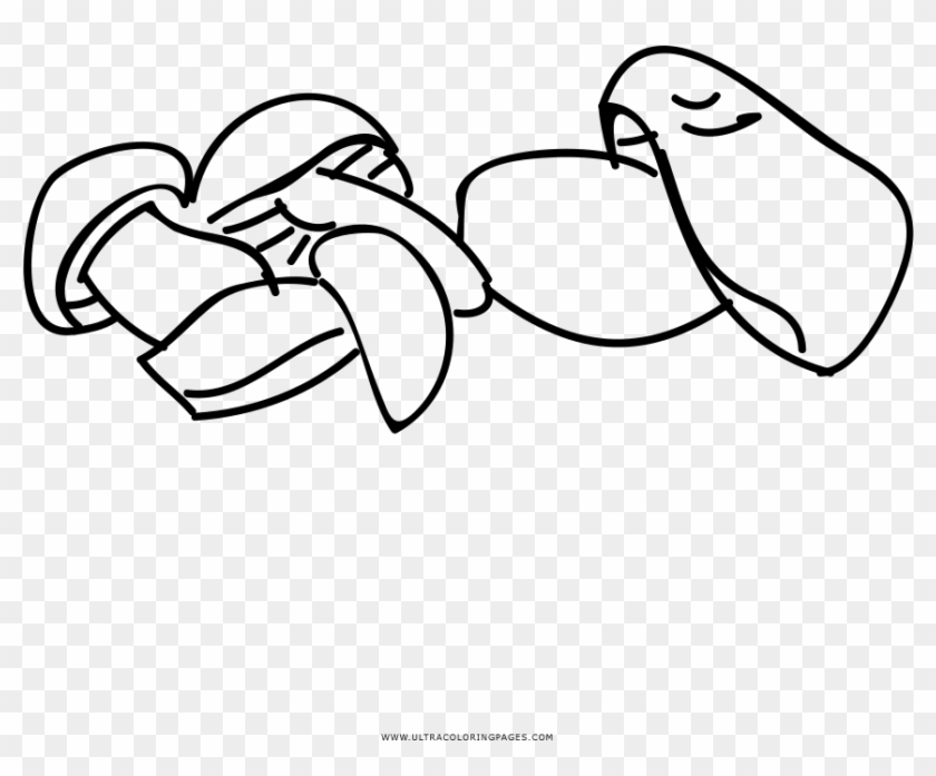 Hand Drawn Mushrooms Coloring Page - Line Art Clipart #2544909