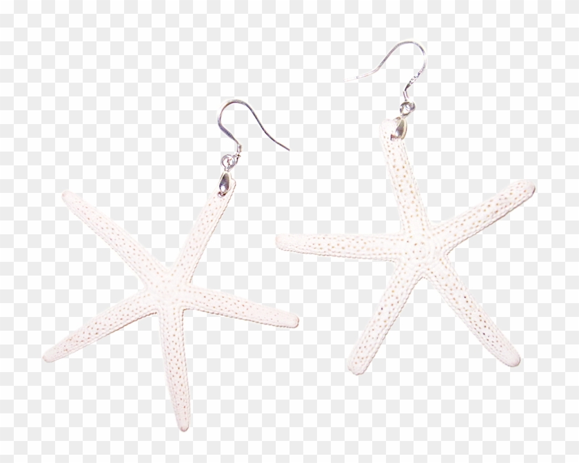 White Sugar Starfish Earrings - Earrings Clipart