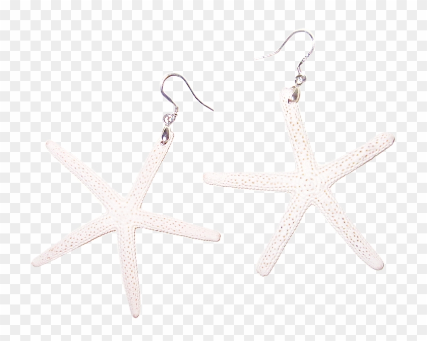 White Sugar Starfish Earrings - Earrings Clipart #2545190