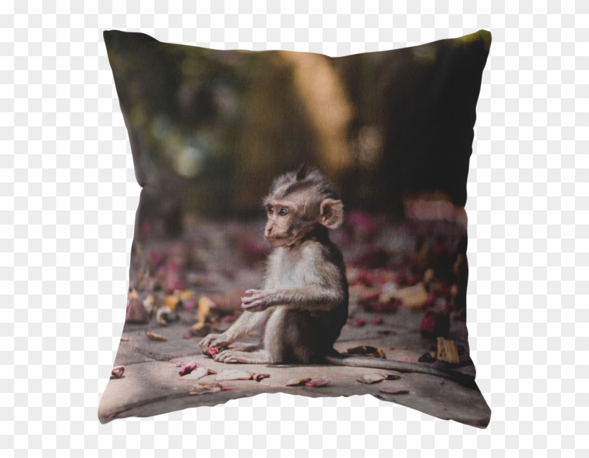 Iphone 8 Plus Monkey , Png Download - Iphone 7 Plus Monkey Clipart #2545713