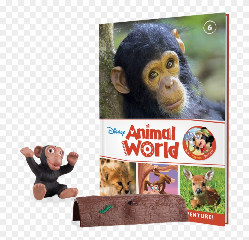 Monkey Book Plus Baby Monkey And A Log - Disney Mickey And Coco The Monkey Books Clipart
