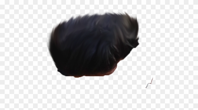 Hair Png ➤ Download - Animal Clipart