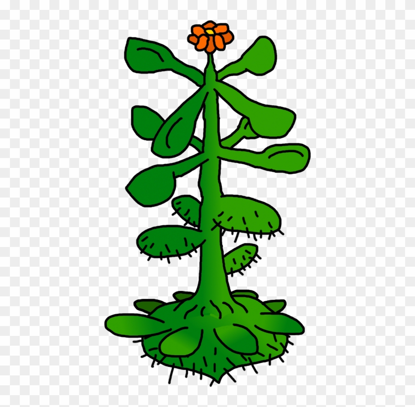 Cactus In A Candy Shop Clipart , Png Download Transparent Png