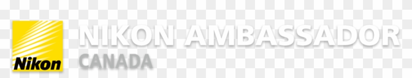 Nikon Corporation Clipart