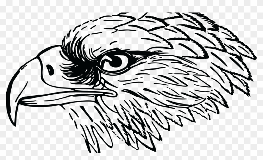 Clipart Black And White Falcon - Png Download #2550745