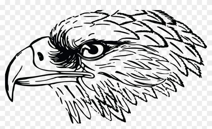 Clipart Black And White Falcon - Png Download