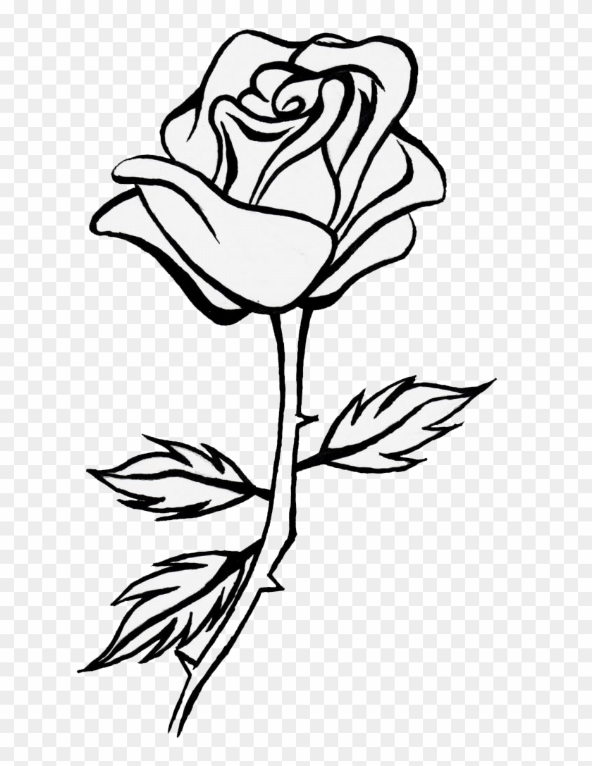 Featured image of post Simple Rose Sketch Png