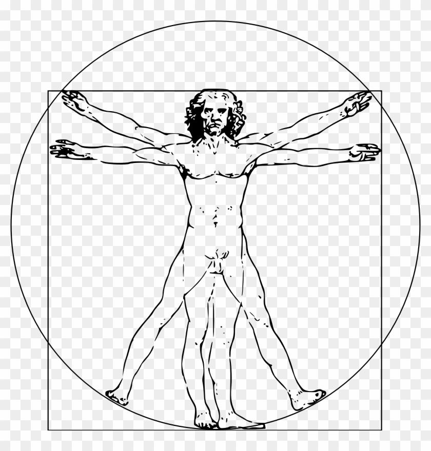 Vitruvian Man Png - Vitruvian Man Transparent Background Clipart