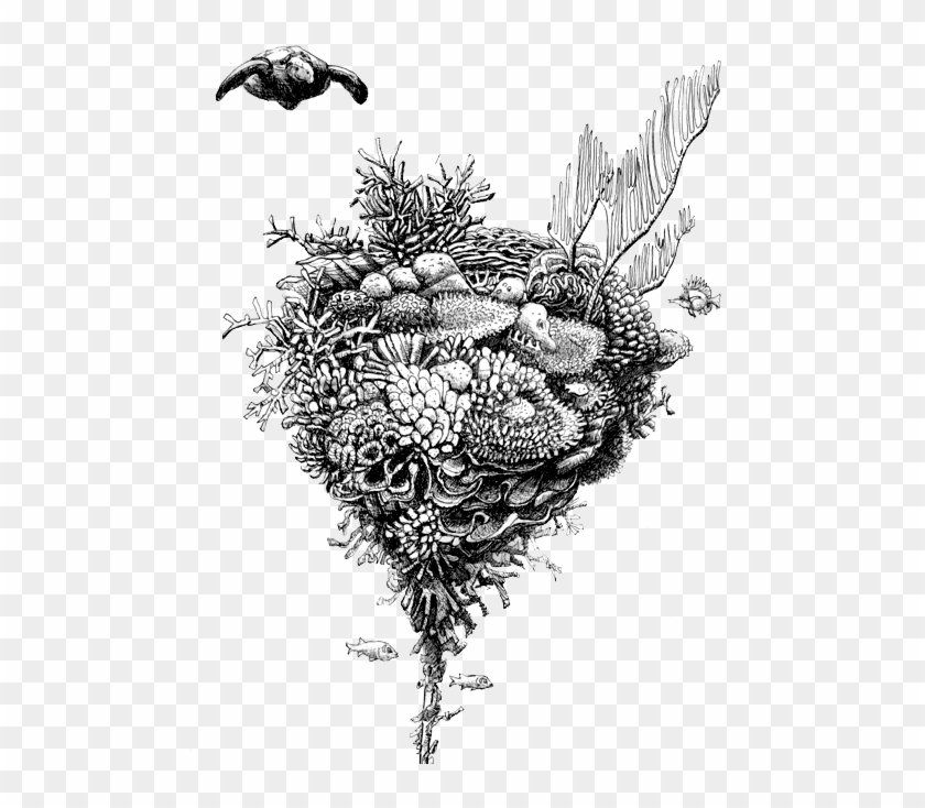 These Are Coral Reef Arks, Tools For Building New Coral - Sketch Clipart #2552608