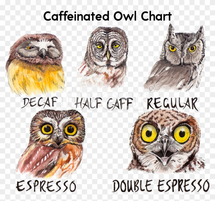 Big Worksample Image - Caffeine Owl Clipart #2553820