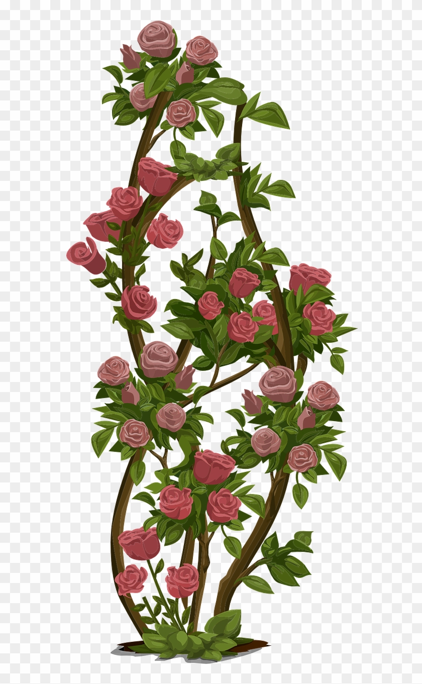 Roses Tree Bush Flowers Nature Png Image - Rose Flower Tree Png Clipart #2553897