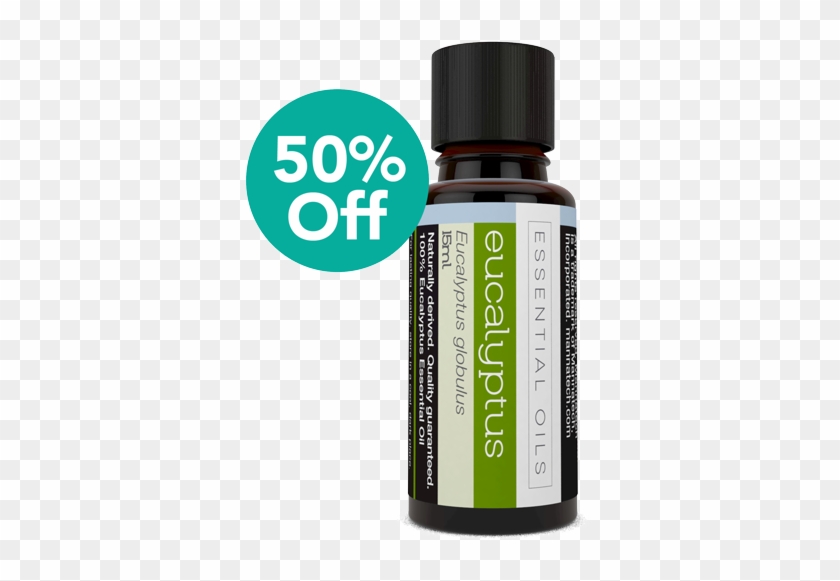 14601-50 - Lime Clipart