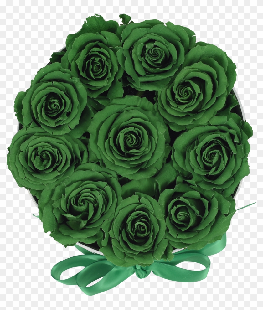 Green Roses Png - Garden Roses Clipart #2554623