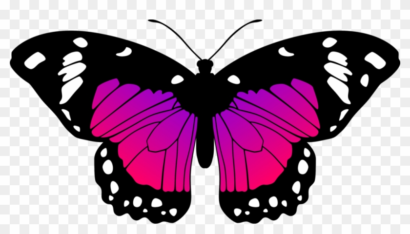 Butterflies Transparent Pink Purple - Pink And Purple Butterfly Clipart