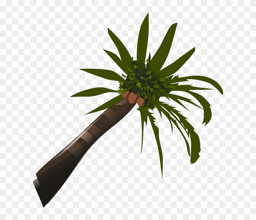 Brown, Green, Food, Palm, Tree, Cartoon, Trees, Plant - Palm Tree Clip Art - Png Download