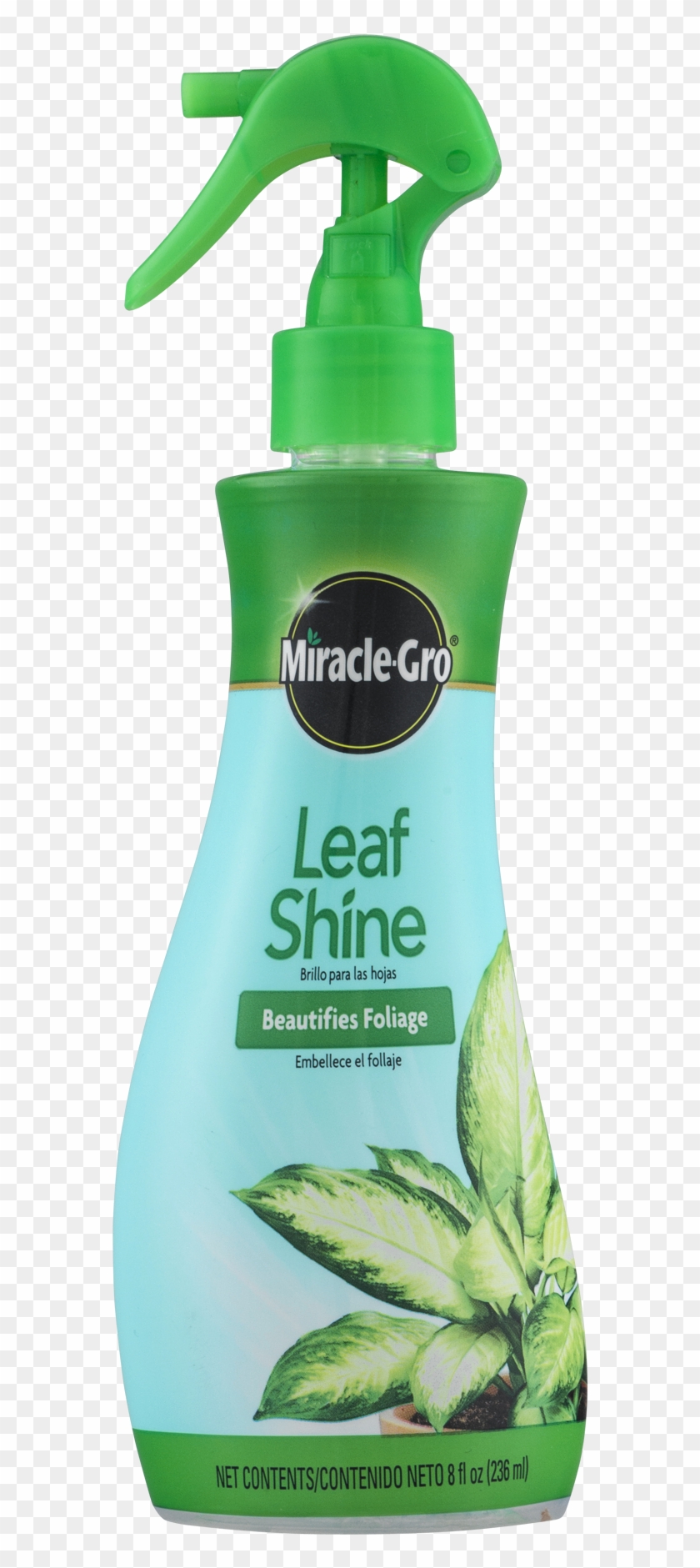 Miracle-gro Leaf Shine 8 Oz Spray Bottle - Miracle Gro Leaf Shine Clipart #2556790