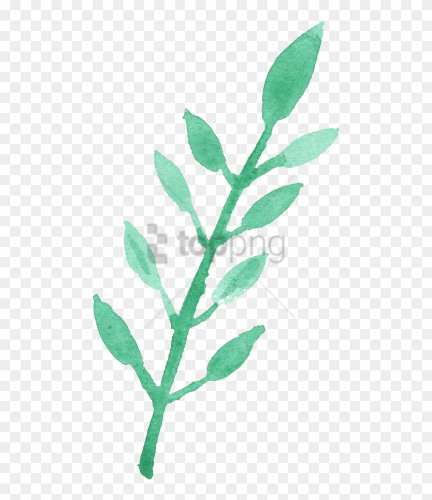 Free Png Watercolour Leaf Png Image With Transparent - Free Png Watercolour Leaf Clipart #2556982