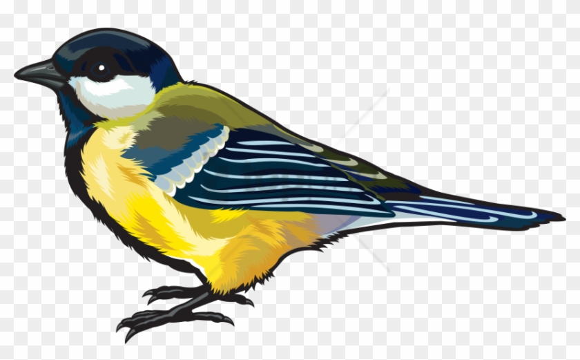 Free Png Hdbirds Png Image With Transparent Background - Portable Network Graphics Clipart #2557622