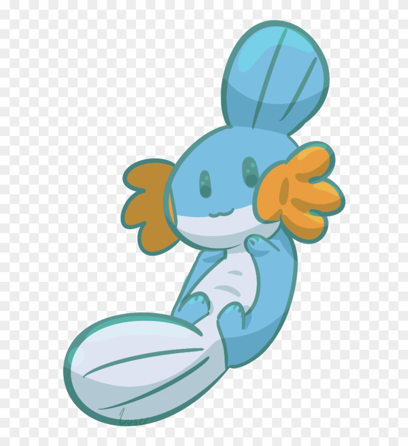 Another Mudkip With Its Tummy Exposed - Cartoon Clipart #2557885