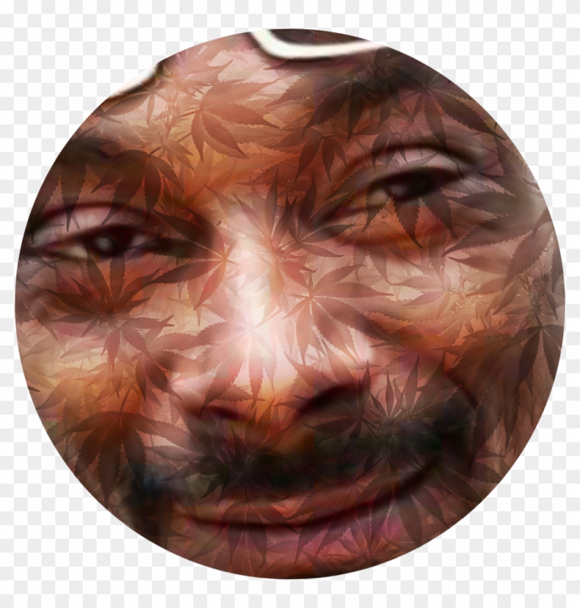 J6u4aut ] - Lampshade Clipart