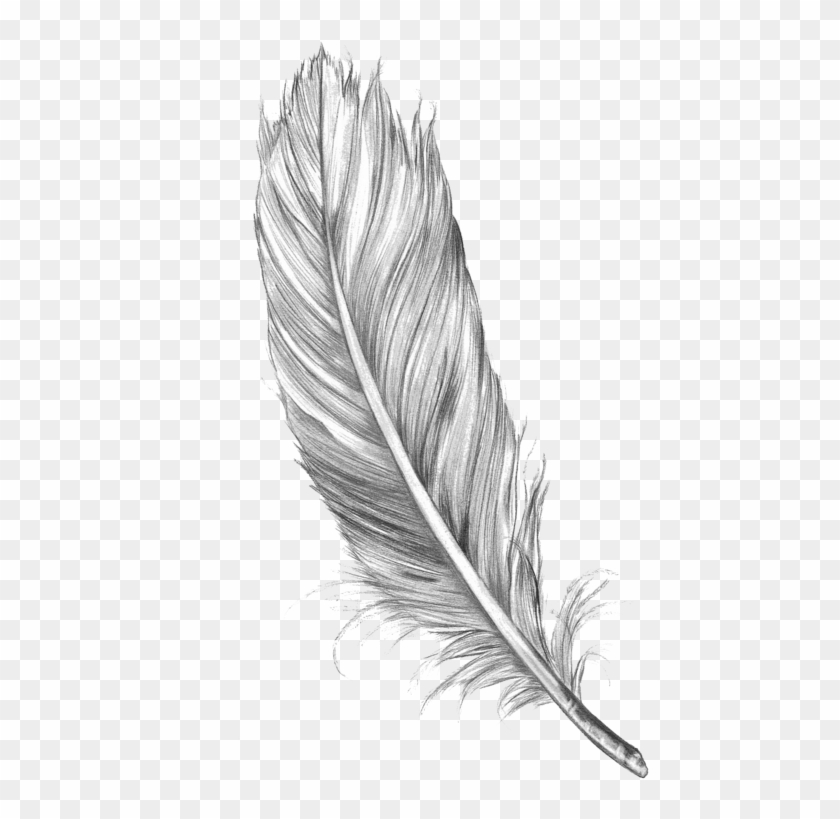 Feather Tattoo Drawing , Png Download - Feather Sketch Clipart #2559315