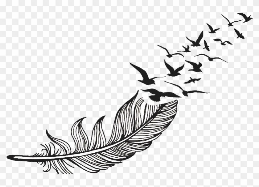 Feather Drawing Png Clipart #2559427