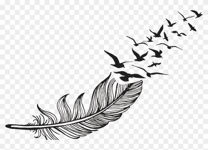 Feather Drawing Png Clipart